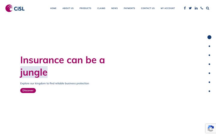 Capture d'écran de cisl.co