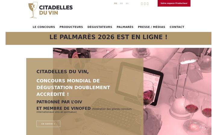 Screenshot of citadellesduvin.com