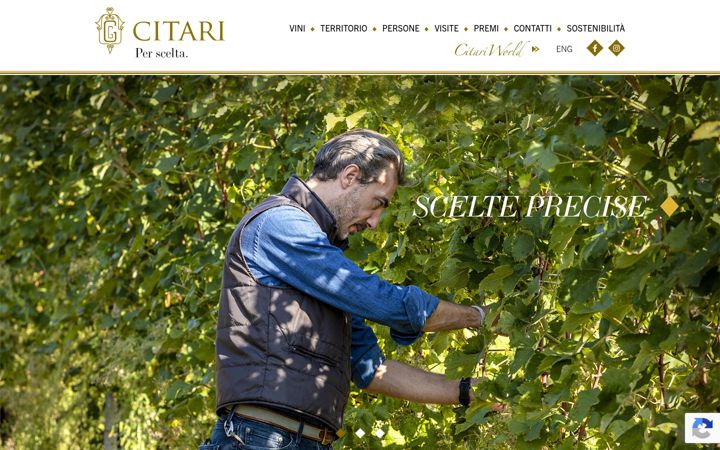 Screenshot of citari.it