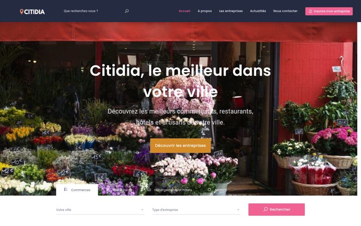 Zrzut ekranu citidia.fr