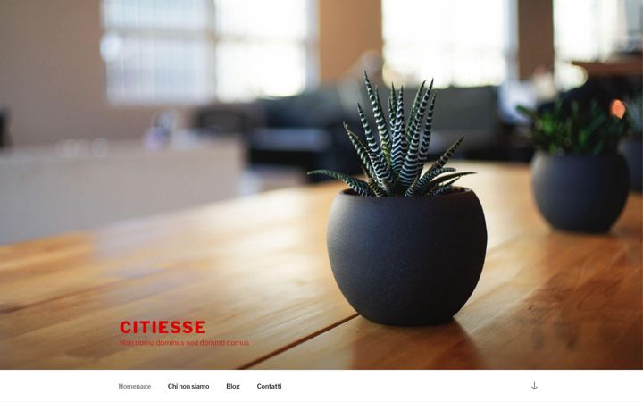 Screenshot ta' citiesse.it