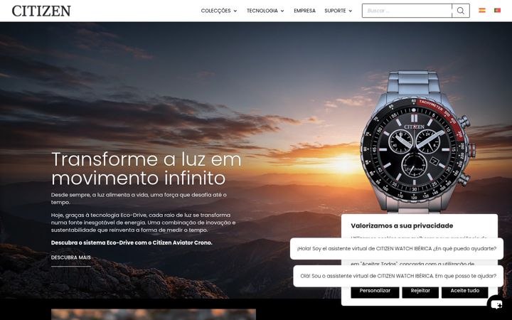 Screenshot of citizen.pt