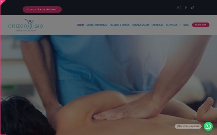 Screenshot of citizenfisio.com