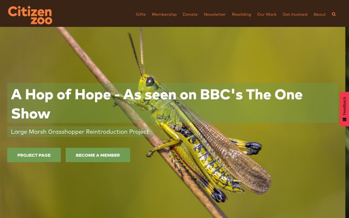 Kuvakaappaus sivustosta citizenzoo.org