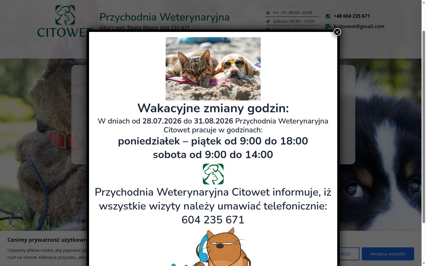 Snimka zaslona bannera za privolu prikazanog prije bilo kakve interakcije