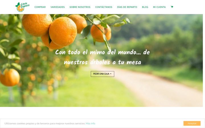 Screenshot of citricexpress.com