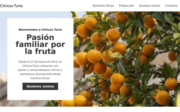 Screenshot of citricosturia.com