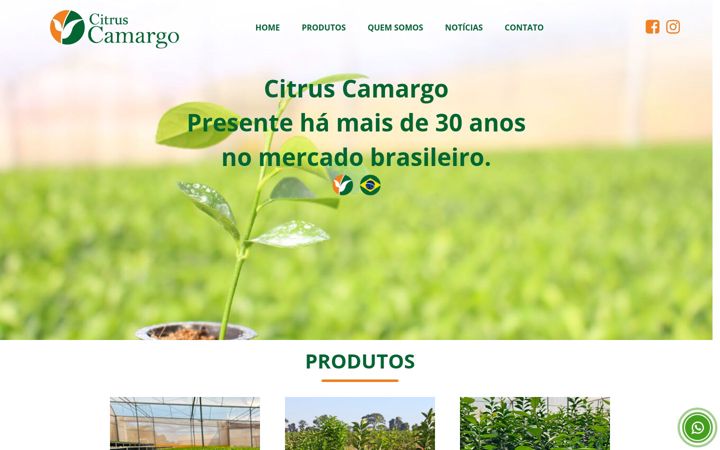 Skjámynd af citruscamargo.com.br