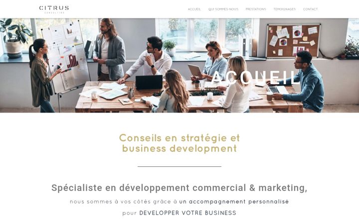 Screenshot of citrusconsulting.fr
