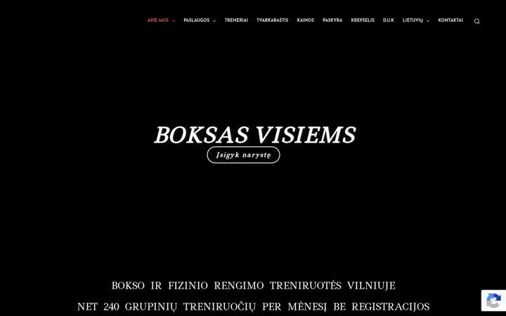 Screenshot of cityboxing.lt