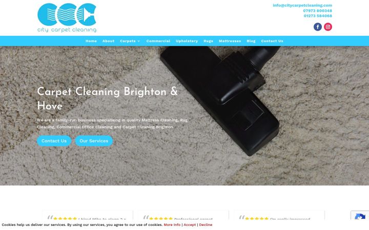 Screenshot of citycarpetcleaning.com