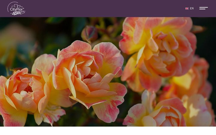 Screenshot of cityflor.com