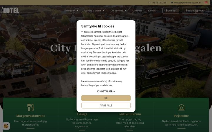 Screenshot of cityhotelnattergalen.dk