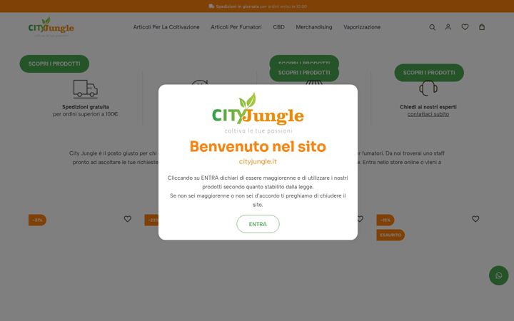 Screenshot ta' cityjungle.it