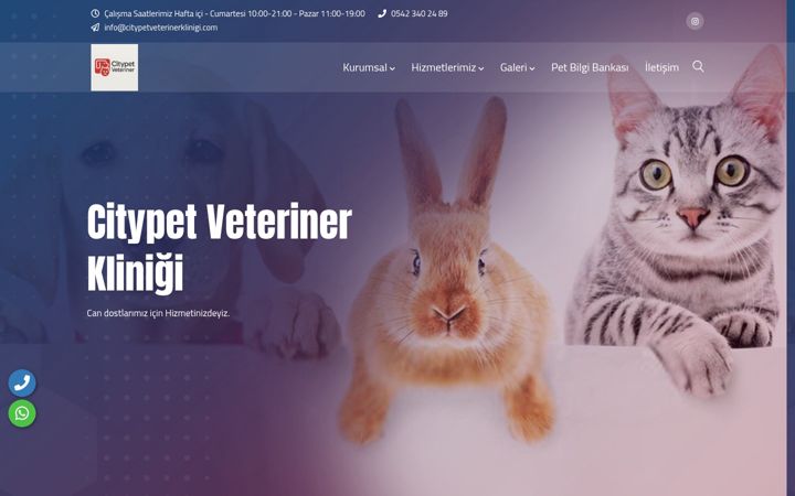 Screenshot of citypetveterinerklinigi.com
