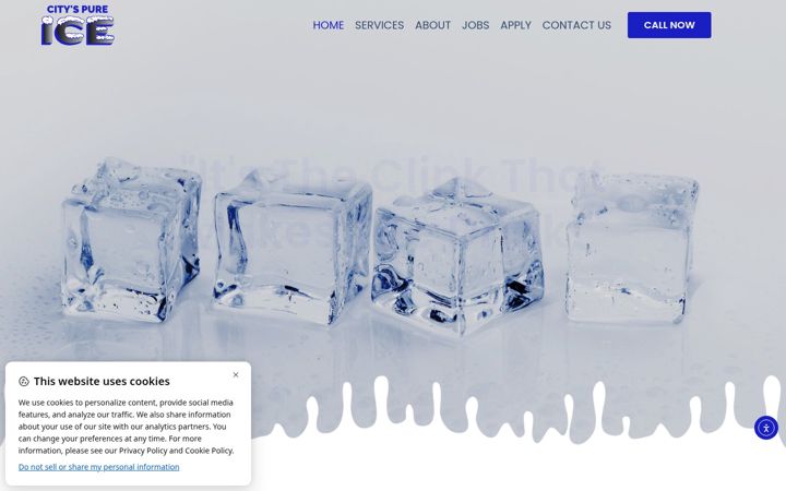 Screenshot of cityspureiceinc.com