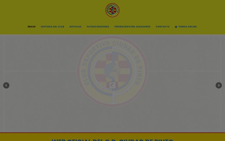 Screenshot of ciudadepinto.com
