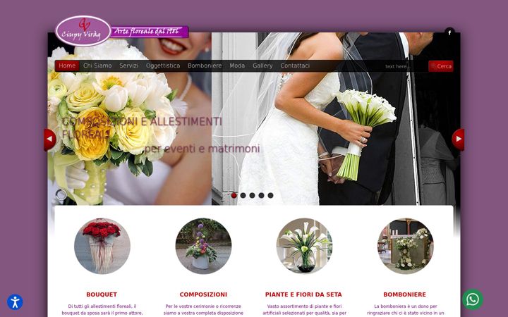Screenshot of ciupyvirag.it