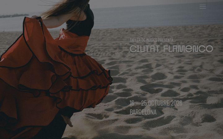 Screenshot of ciutatflamenco.com