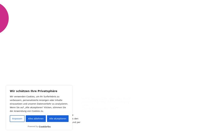 Screenshot di civiskinopreis.eu