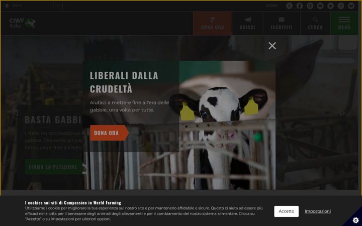 Screenshot of ciwf.it