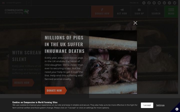 Screenshot of ciwf.org.uk