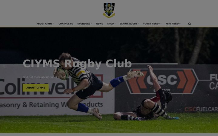Screenshot of ciyms.com