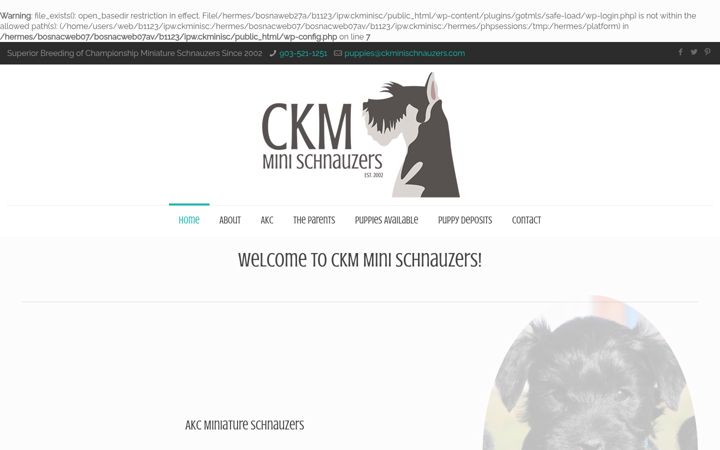 Screenshot of ckminischnauzers.com