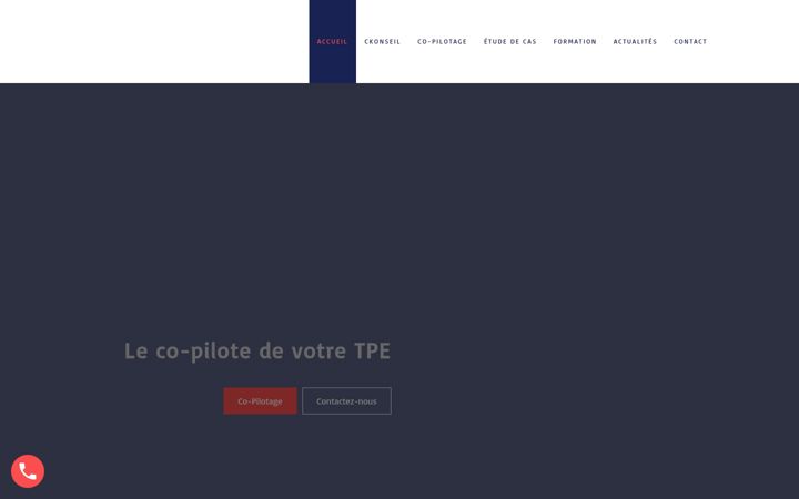Zrzut ekranu ckonseil.fr