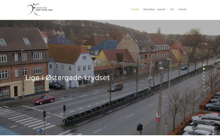 Screenshot of ckps.dk