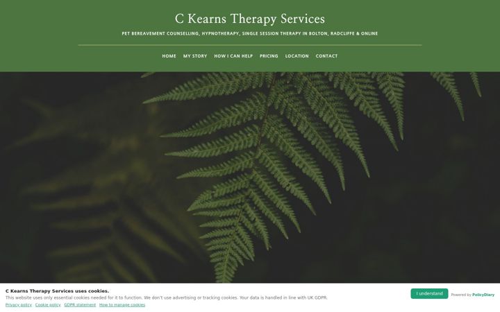 Snímek obrazovky cktherapyservices.co.uk