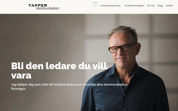 Screenshot of claestapper.com