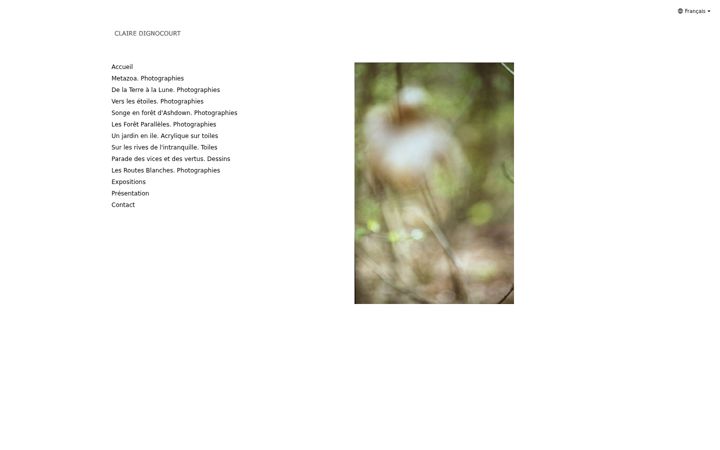 Screenshot of clairedignocourt.com
