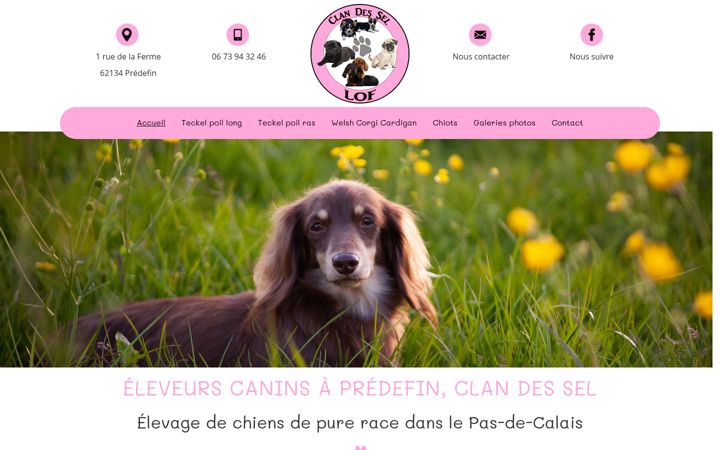Screenshot of clan-des-sel.com