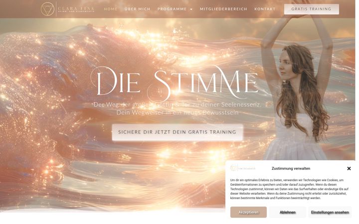 Screenshot of clarafink.com