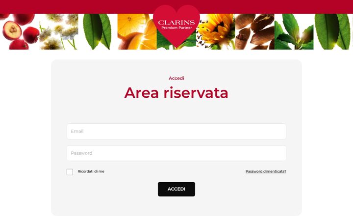 Screenshot of clarinspartners.it