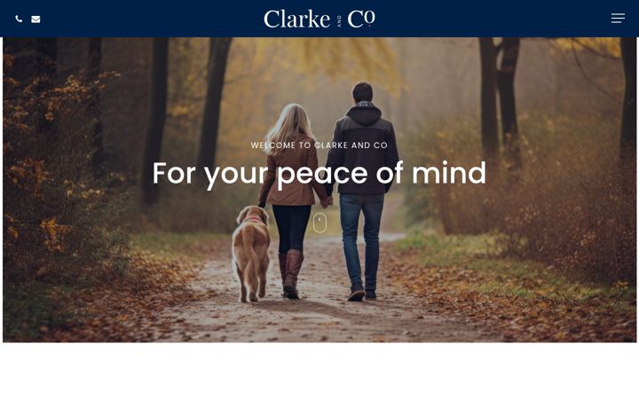 Screenshot of clarkeandco.ltd