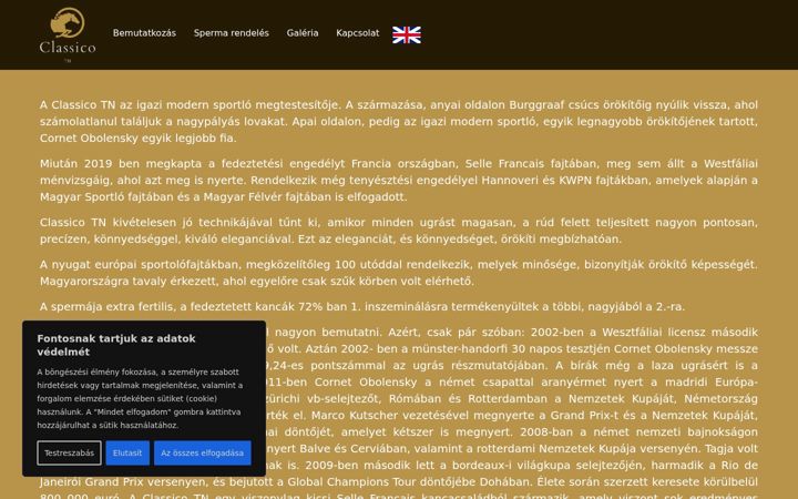Screenshot stránky classicotn.hu