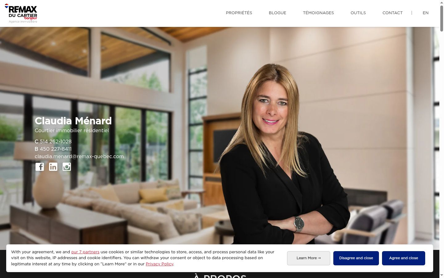 Screenshot of the consent banner shown before any interaction