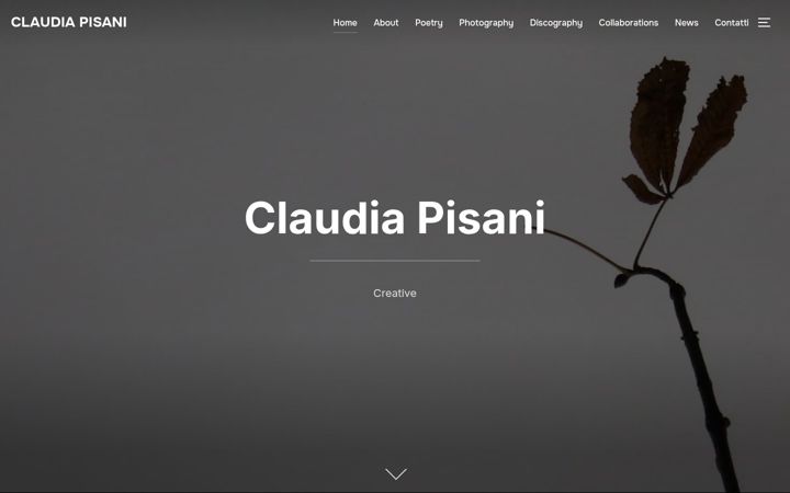 Screenshot of claudiapisani.com