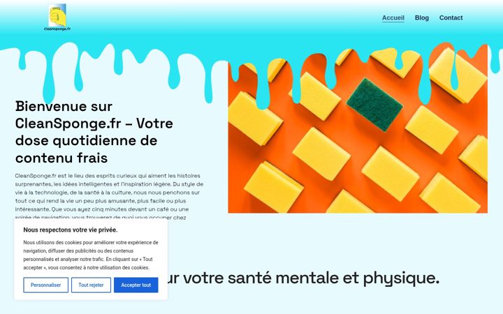 Zrzut ekranu clean-sponge.fr