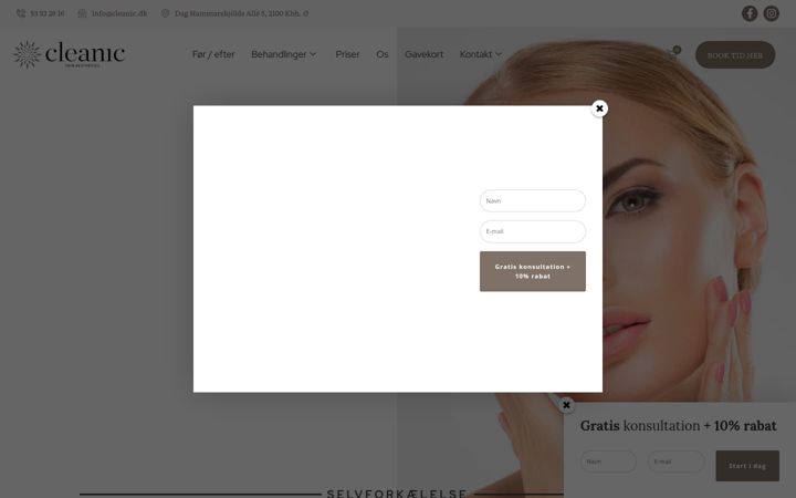 Screenshot of cleanic.dk