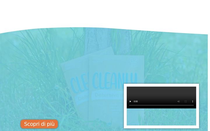 Screenshot of cleanlyeco.it