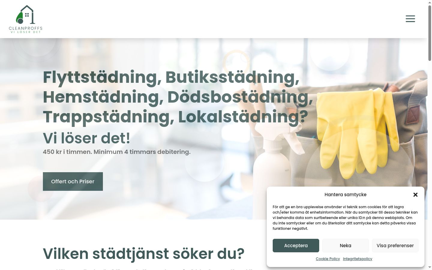Skærmbillede af samtykkebanneret, som det blev vist før nogen interaktion