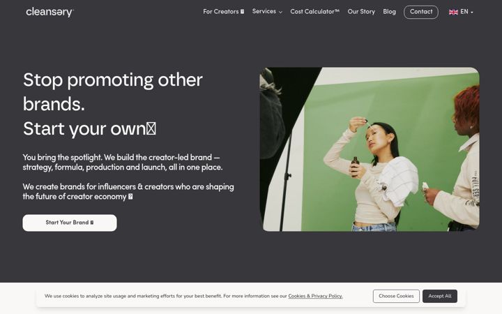 Screenshot of cleansery.com