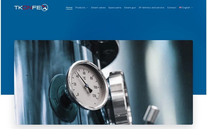 Kuvakaappaus sivustosta cleansteamgenerators.eu