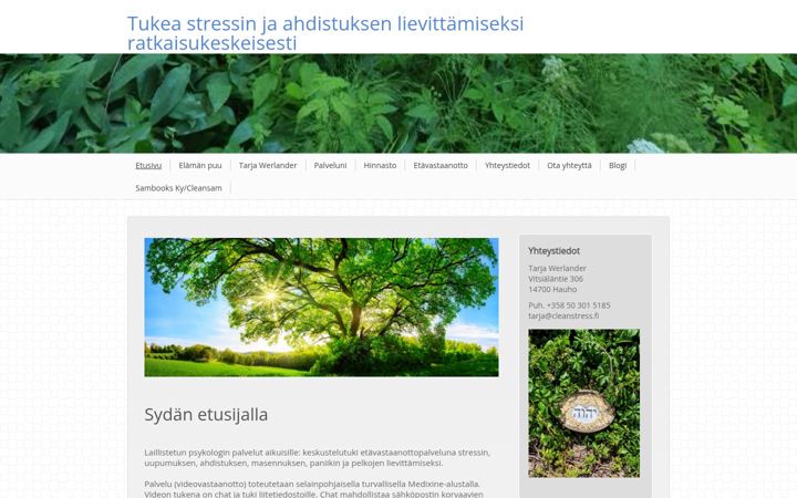 Screenshot von cleanstress.fi
