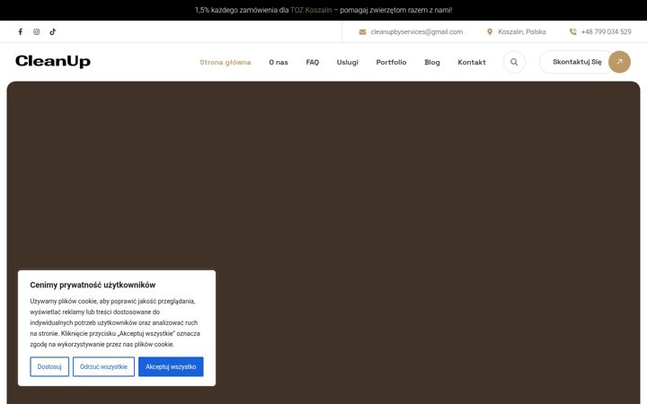 Snímek obrazovky cleanup-services.pl
