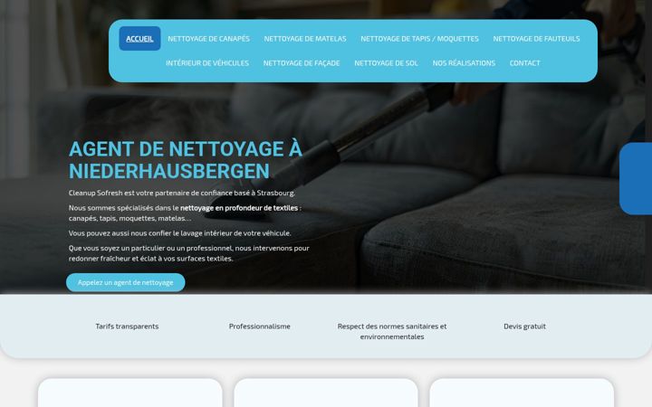 Screenshot of cleanupsofresh.fr
