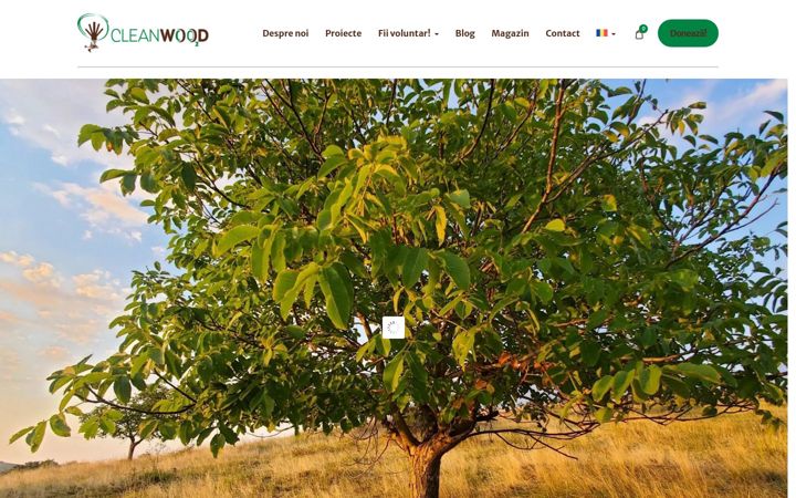 Screenshot του cleanwood.org